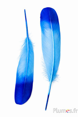 Cigno Seta - 25-30 cm - turchese-blu